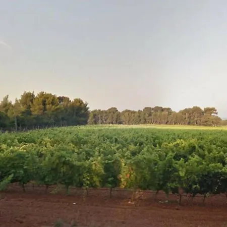 Le Lavandou, 1 Pièce, 4 Personnes - Fr-1-251-223 * Le Lavandou